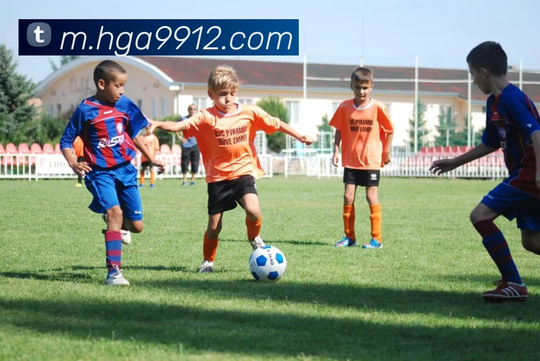 互动解说服务